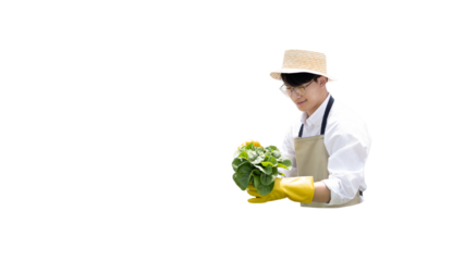 Owner of a hydroponics vegetable garden inspects agricultural produce in a greenhouse in preparation for delivery to consumers, Organic farming and organic vegetables, Healthy and vegan food concept.
