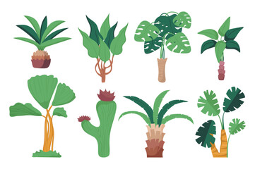 Exotic Plants set concept without people scene in the flat cartoon design. Images of green plants that you won't find anywhere else. Vector illustration.