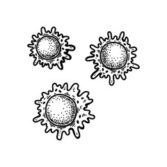 Macrophage blood cells isolated on white background. Hand drawn scientific microbiology vector illustration in sketch style