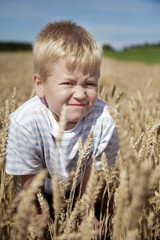 A little boy is spying on a grain field, the sun is shining and it is a warm northern summer. It's summer vacation.