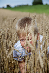A little boy is spying on a grain field, the sun is shining and it is a warm northern summer. It's summer vacation.