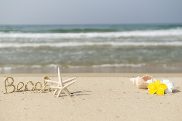 ビーチとプルメリア