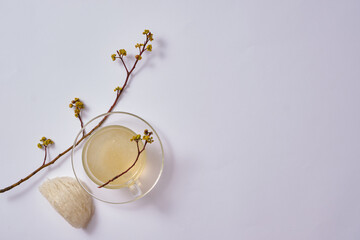 A glass transparent cup containing bird’s nest soup, decorated with an edible bird’s nest and flower branches. Bird’s nest can enhance disease prevention system. Blank space to display product