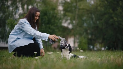 Caucasian Woman Owner Playing with Her Japanese Chin Dog with Toy for Dogs. Female Trains Her Dog with Rope for Pets. Girl Stroking Her Pet while Sitting on a Park. People and Dogs Friendship Concept