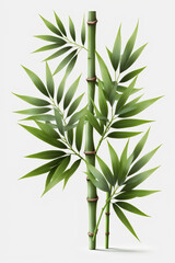 Fototapeta na wymiar Isolated Bamboo Plant on White Background: A Symbol of Purity, Strength, and Flexibility