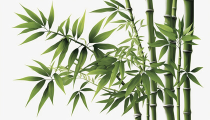 Fototapeta na wymiar Isolated Bamboo Plant on White Background: A Symbol of Purity, Strength, and Flexibility