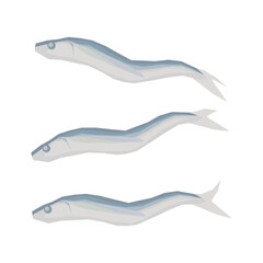 Vector illustration of dried flying fish.