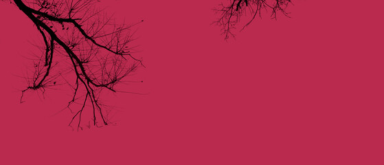 Abstrakter Hintergrund oder Textur mit Ästen und Zweigen und copy space. Muster in Trendfarbe 2023 Jahr Viva Magenta