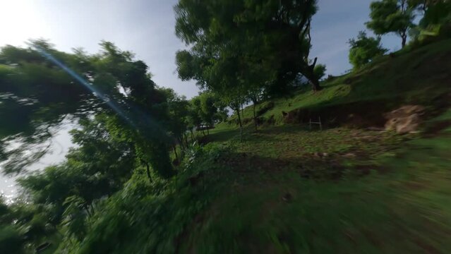 Fast FPV drone shot between trees on Bukit Asah camp site to a blond woman swinging on a swing set with a great view on the ocean.