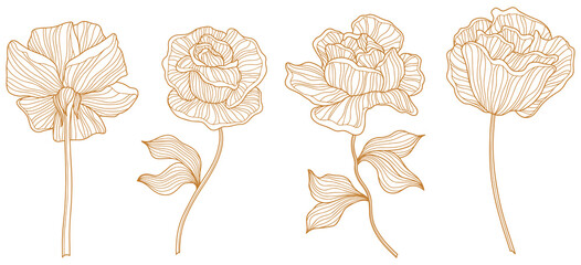 Rose flowers and leaves  isolated on white. Hand drawn line abstract  illustration.