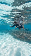 young man snorkeling in the great barrier reef