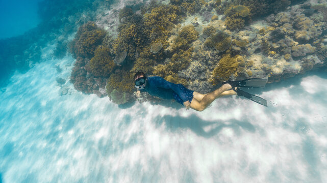 young man freediving in the great barrier reef