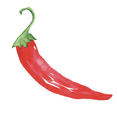 Pepper chilli watercolor