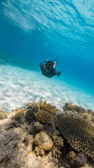 young man freediving in the great barrier reef