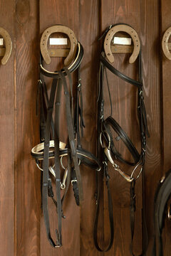horse set. equipment, accessories, outfit for horseback riding, horseshoe and bridle. vertical