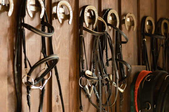 horse set. equipment, accessories, outfit for horseback riding, horseshoe and bridle