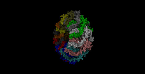 Human RAD52 DNA repair protein 3D molecule 4K (200 degrees view)
