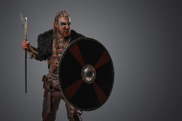 Studio shot of isolated on gray background viking with black fur holding shield and axe.