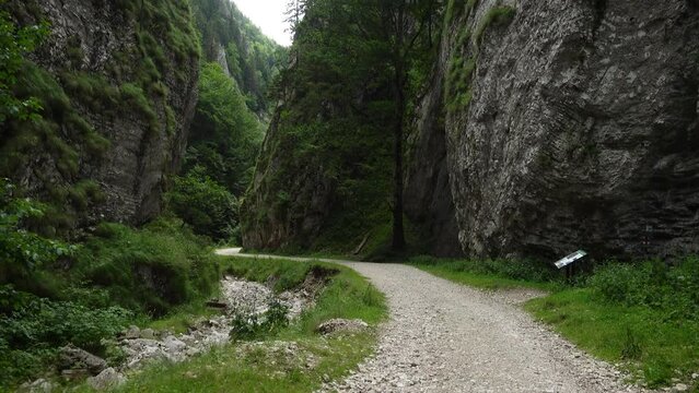 Zarnesti Canyon in Romanian Carpathians