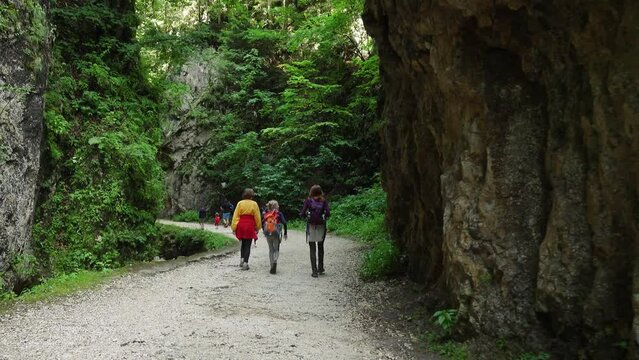 active family hiking by the canyon