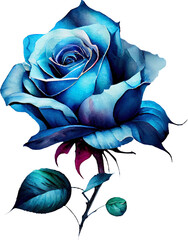 Fototapeta na wymiar blue rose transparent background - Generative AI