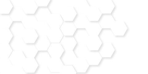 Background with hexagons . Abstract background with lines . white texture background . white and hexagon abstract background. white paper texture and futuristic business .