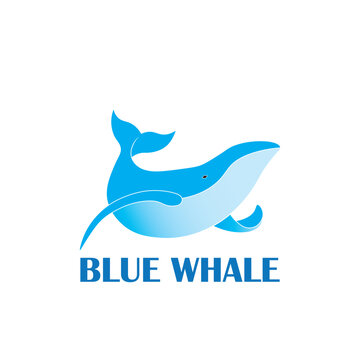 blue whale logo design.