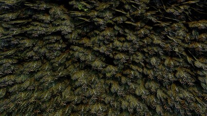 simple texture on the wall