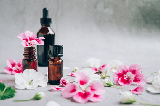 Front view of glass bottles of geranium essential oil with fresh flowers and petals over gray
