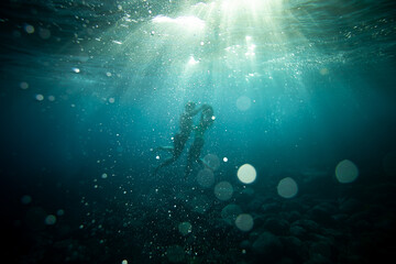 Fototapeta premium Danse aquatique