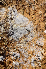 Fossil marks on the stones of the trail in the Serra do Gandarela National Park, Ouro Preto, Minas Gerais, Brazil