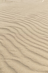 Fototapeta premium 砂紋