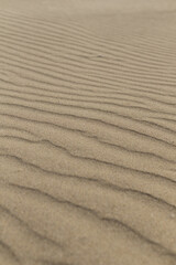 砂紋