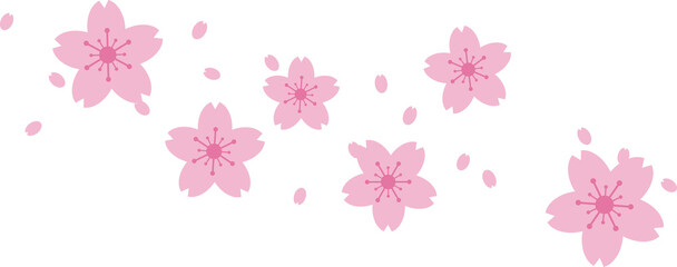 Plakat Beautiful pink Sakura Cherry Blossom illustration.