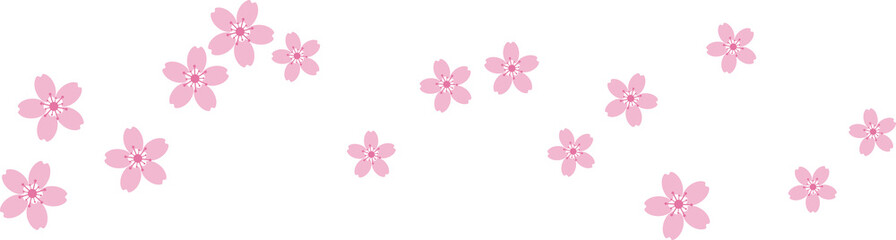 Beautiful pink Sakura Cherry Blossom illustration.