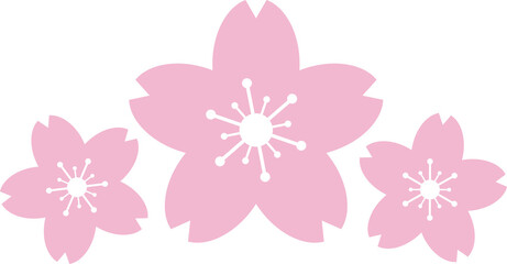 Fototapeta premium Beautiful pink Sakura Cherry Blossom illustration.