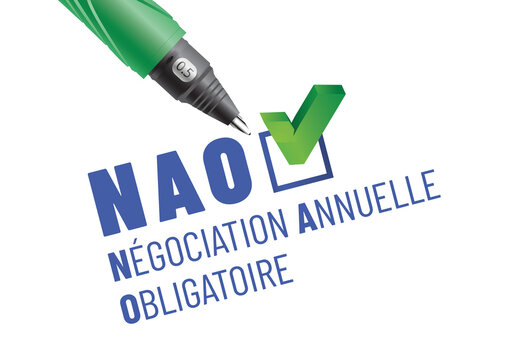 NAO - n&eacute;gociation annuelle obligatoire en france