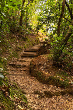 Treppen im Wald von Agua Garcia
