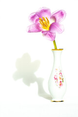 Tulpe / Vase