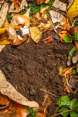 organic compost in the detail. You can see biodegradable kitchen waste, wood ash, paper, soil and earthworms
