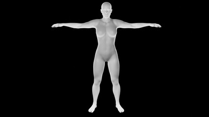 Beautiful athletic young woman posing isolated on black - 3d illustration, rendering. Front view