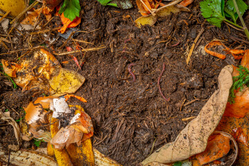 organic compost in the detail. You can see biodegradable kitchen waste, wood ash, paper, soil and...
