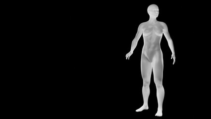 Beautiful athletic young woman posing isolated on black - 3d illustration, rendering. Front view