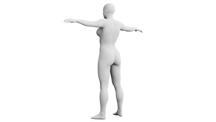 Beautiful athletic young woman posing isolated on black - 3d illustration, rendering. Viewed from back