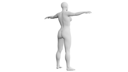 Beautiful athletic young woman posing isolated on black - 3d illustration, rendering. Viewed from back