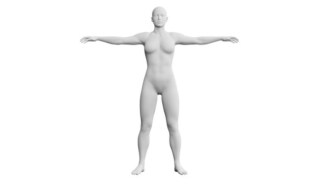 T pose rigged model of Sailor Moon - Buy Royalty Free 3D model by 3d Anime  Girls Collection (@3d.anime.girl) [ab7405a]