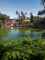 Obraz premium Lake surrounded by trees and houses