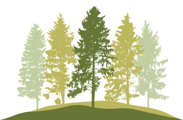 Fototapeta na wymiar Spring season, silhouette of spruce trees. Beautiful nature, woodland. Vector illustration