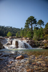 Obraz premium Piscia di Gallo