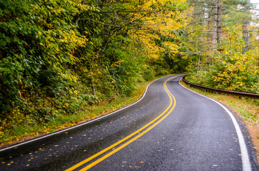 Winding Road in Fall